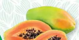SPAR Gourmet Riesenpapaya Angebot