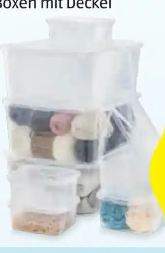Hofer Home Creation Klarsichtboxen-Set Angebot
