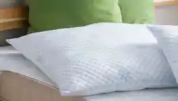 Hofer Novitesse Polster Angebot