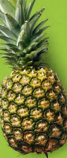 Hofer Hofer Marktplatz Ananas Angebot