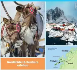 Hofer Hofer-Reisen Rundreise Wintermärchen In Nordnorwegen Angebot