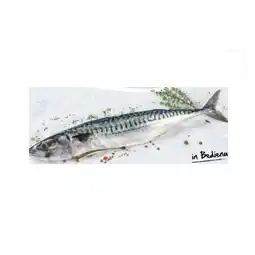 Interspar Makrele INTERSPAR Angebot