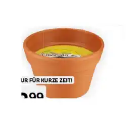 Bipa Wachstontopf Duftkerze BIPA Angebot