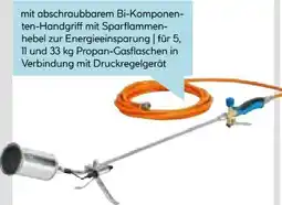 Hellweg CFH Abflammgerät PZ 6500 Angebot