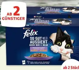 Fressnapf Purina Felix Katzennahrung Angebot