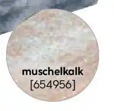 Hellweg Einfassungsplatte Toscana muschelkalk Angebot