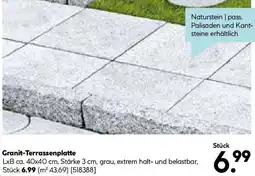 Hellweg Granit-Terrassenplatte Angebot