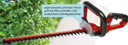Hellweg Einhell Akku-Heckenschere Arcurra 18/55 Solo" Angebot