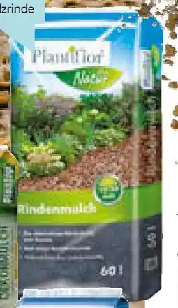 Hellweg Pinienrinde Angebot