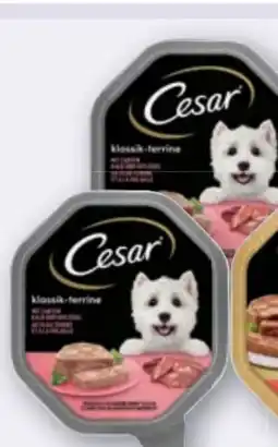 ADEG Cesar Hundenahrung Schale Angebot