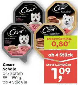 ADEG Cesar Schale Angebot
