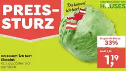 ADEG Eissalat Angebot