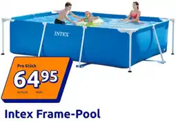 Action Intex Frame-Pool Angebot