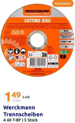 Action Werckmann Trennscheiben Angebot