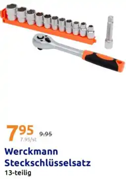 Action Werckmann Steckschlüsselsatz Angebot