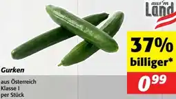 Nah&Frisch Gurken Angebot