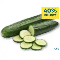 T&G Salatgurke T&G Angebot