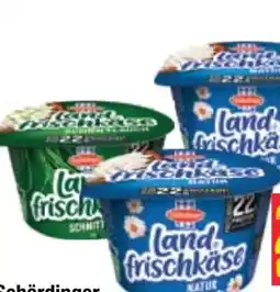 Maximarkt Schärdinger Landfrischkäse Angebot