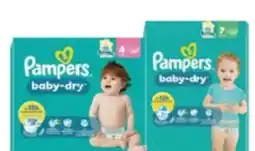 Maximarkt Pampers Baby-Dry Windeln Angebot