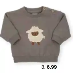Zeeman Pullover Größe Angebot