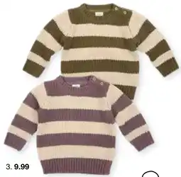 Zeeman Pullover Angebot