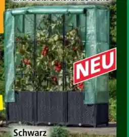 Norma HC Garten & Freizeit Hochbeet Angebot