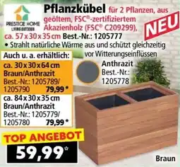 Norma Pflanzkübel Angebot