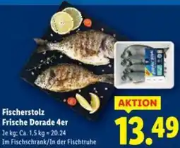 Lidl Fischerstolz Frische Dorade Angebot