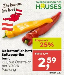 ADEG Da komm' ich her! Spitzpaprika bunt Angebot