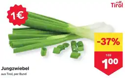 MPreis Jungzwiebel Angebot