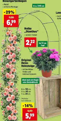 Thomas Philipps Rosengartenbogen Angebot