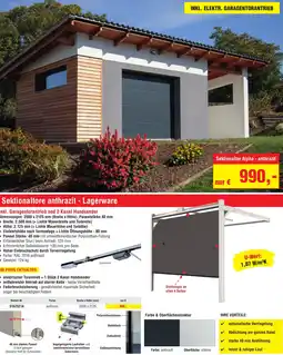 Josef Steiner Sektionaltor Alpha - anthrazit Angebot