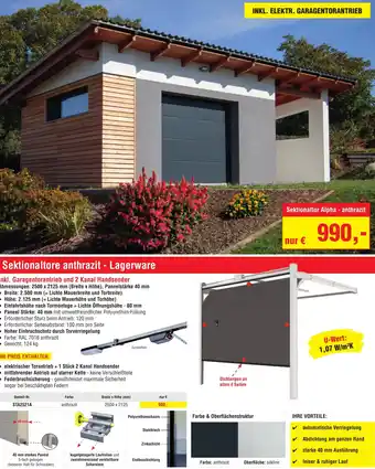 Josef Steiner Sektionaltor Alpha - anthrazit Angebot