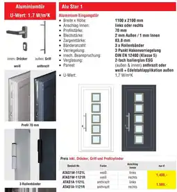 Josef Steiner Aluminium Eingangstür Angebot