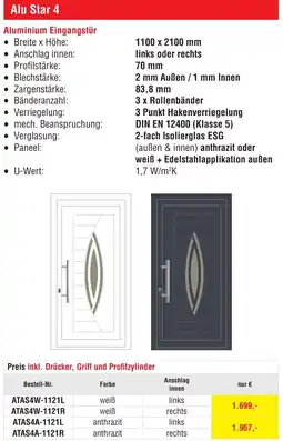 Josef Steiner Aluminium Eingangstür Angebot