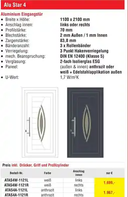 Josef Steiner Aluminium Eingangstür Angebot