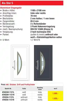 Josef Steiner Aluminium Eingangstür Angebot