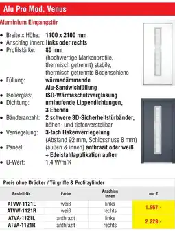 Josef Steiner Aluminium Eingangstür Angebot