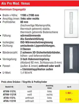 Josef Steiner Aluminium Eingangstür Angebot
