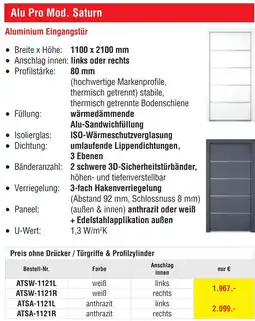 Josef Steiner Aluminium Eingangstür Angebot