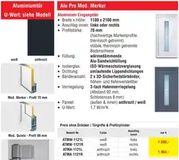 Josef Steiner Aluminium Eingangstür Angebot