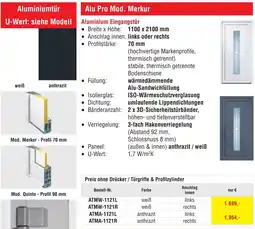 Josef Steiner Aluminium Eingangstür Angebot