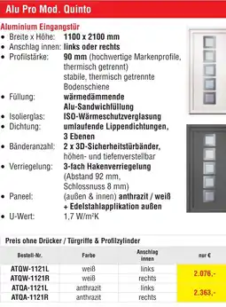Josef Steiner Aluminium Eingangstür Angebot