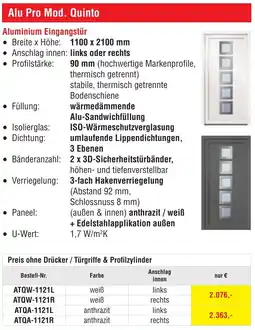 Josef Steiner Aluminium Eingangstür Angebot