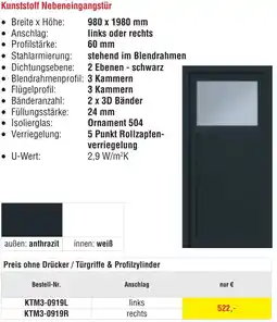 Josef Steiner Kunststoff Nebeneingangstür Angebot