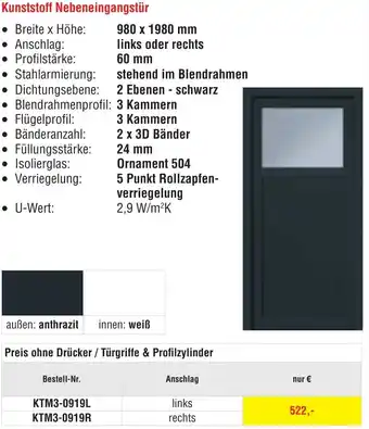 Josef Steiner Kunststoff Nebeneingangstür Angebot