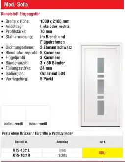 Josef Steiner Kunststoff Eingangstür Angebot