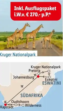 Lidl Lidl-Reisen Südafrika Rundreise & Safari Angebot