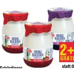 Maximarkt Bergbauern Joghurt versch. Sorten Maximarkt Angebot