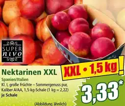 Norma Nektarinen XXL Angebot
